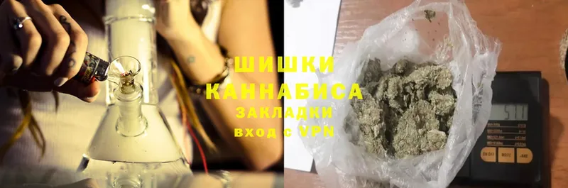 Бошки Шишки White Widow  kraken сайт  Гдов  купить наркоту 